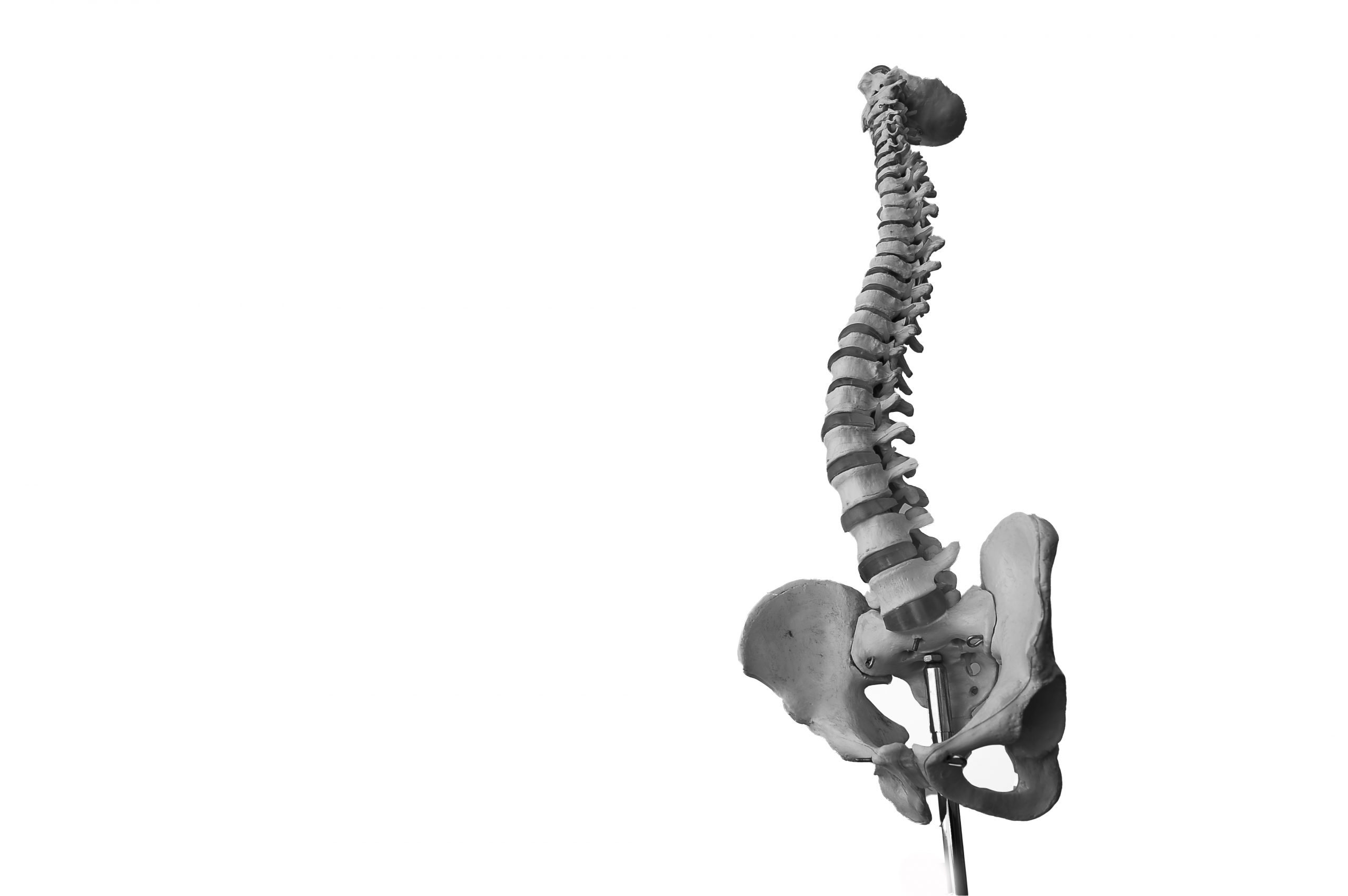 Pierre Ballerio cabinet IM2S Monaco